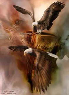 Wild partners