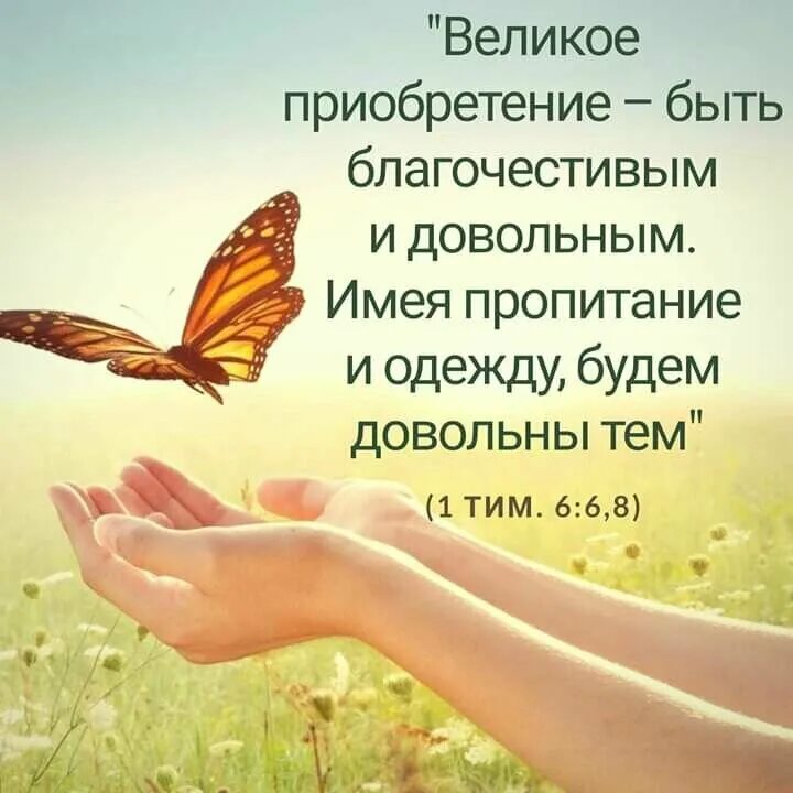 Вы будете довольные тем что