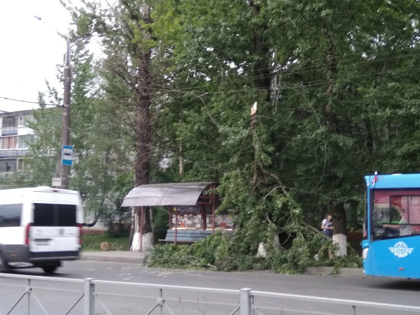 Переулок пилотов брянск. Брянск остановка пер пилотов. остановка тополя. остановка улица авиационная брянск.