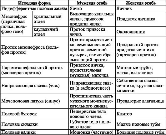 Половые органы строение функции. Мужская половая/система анатомия таблица. Таблица мужской половой системы и женской. Органы половой системы таблица. Внутренние половые органы женщины таблица.