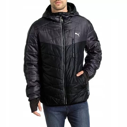 Pwrwarm packlite hd 600 down jacket puma. Пуховик puma volume down jacket. Куртка пума литвина. Зимняя куртка puma. Пуховик puma packlite down jacket.