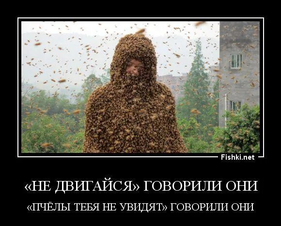 Будет весело говорили они. Мем про хату на нг. Лучшие цитаты. Будет весело говорили они картинки. Будет легко говорили они.