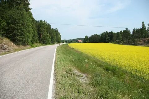 Дорога метр