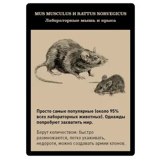 День защиты лабораторных животных