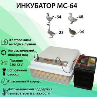 Описание инкубатора автоматического