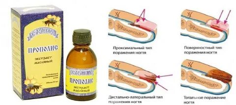 Экстракт от грибка