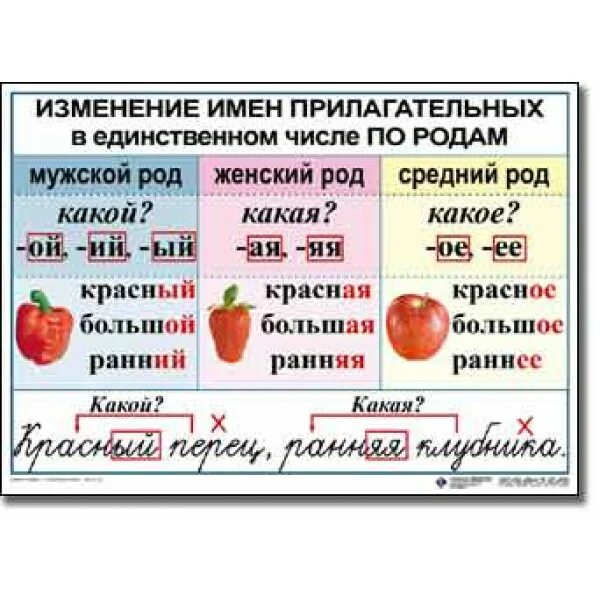 Карточка род и число прилагательных 3 класс. Изменение имен прилагательных по родам. Прилагательное наглядное пособие. Род имен прилагательных таблица. Род имён прилагательных. Изменение имён прилагательных по родам..