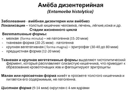 Путь заражения амебиазом