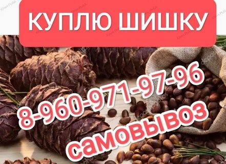 Шишка красноярск