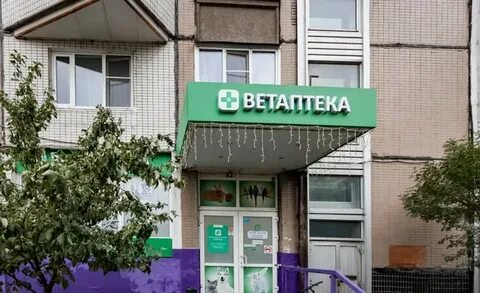 Время вет братиславская ул 32 отзывы