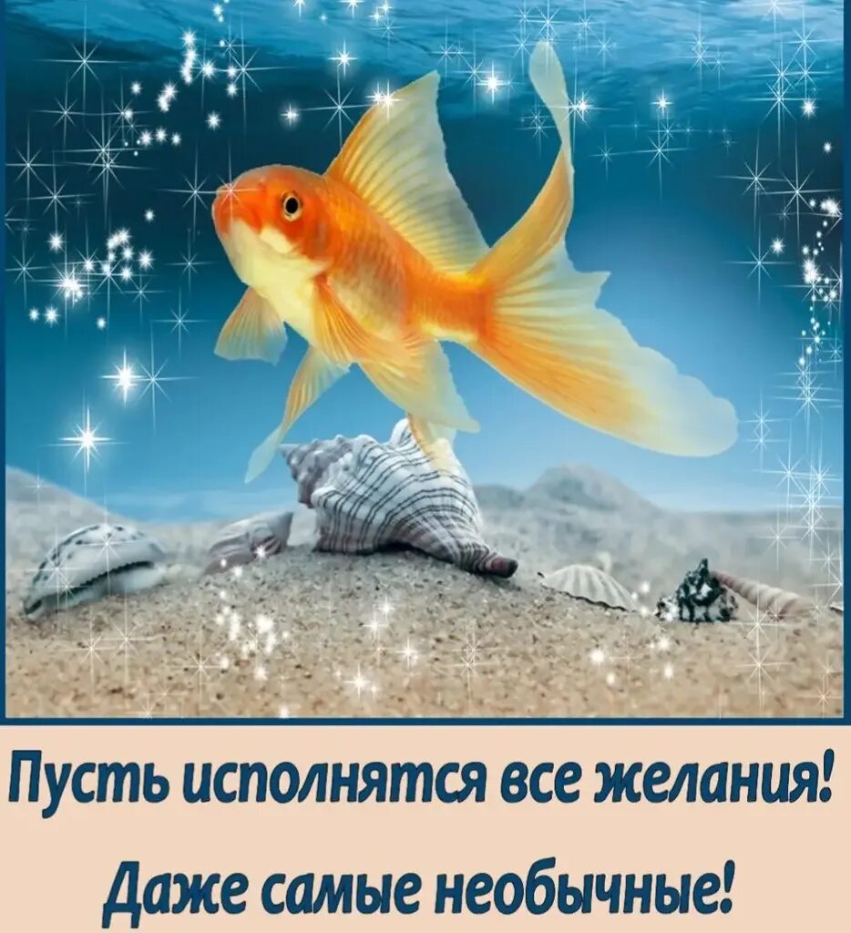 Желаю исполненных желаний. Золотая рыбка. Рыбка исполнения желаний. Золотая рыбка исполнение желаний. Открытка исполнения желаний.