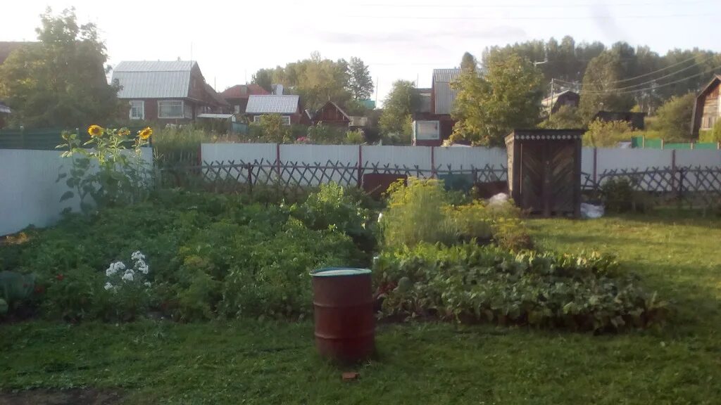 Фото реки порос. Новосибирск в реке порос. Порос новосибирская область. Поселок порос. Порос новосибирская область.