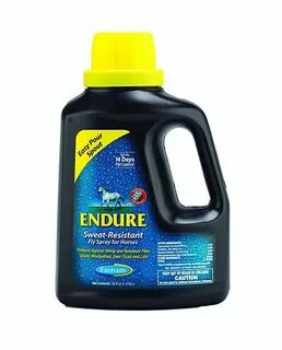 Endure перевод на русский