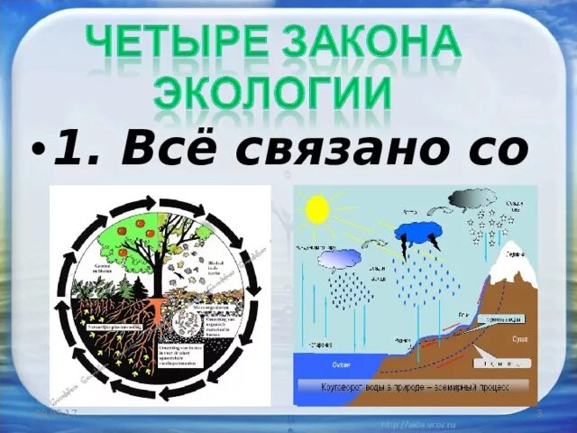 Как называется закон экологии который он иллюстрирует. Закон все связано со всем. Всё связано со всем примеры. Всё связано со всем иллюстрации. Все связано со всем экология примеры.