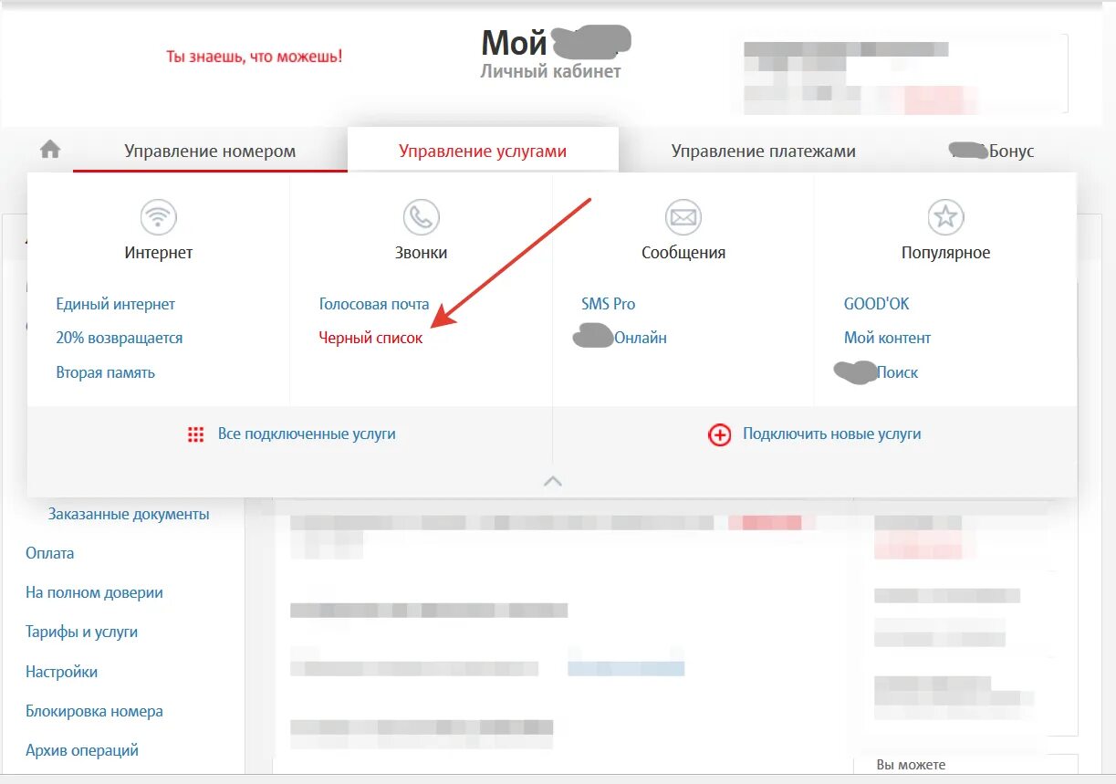 В личном кабинете можно заблокировать. МТС личный кабинет. Черный список МТС. Черный список номера МТС. Личный кабинет абонента МТС.