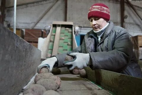 Рабочий день женщины на селе
