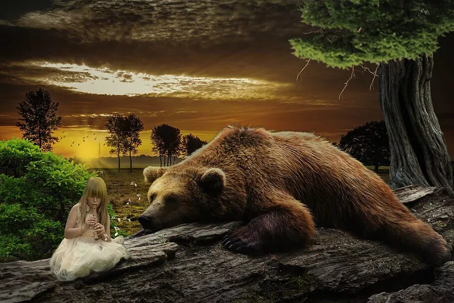 Девочку спас медведь. Медведь ангел. медведь музыка. bear manipulation. музыкальный медведь картинка.