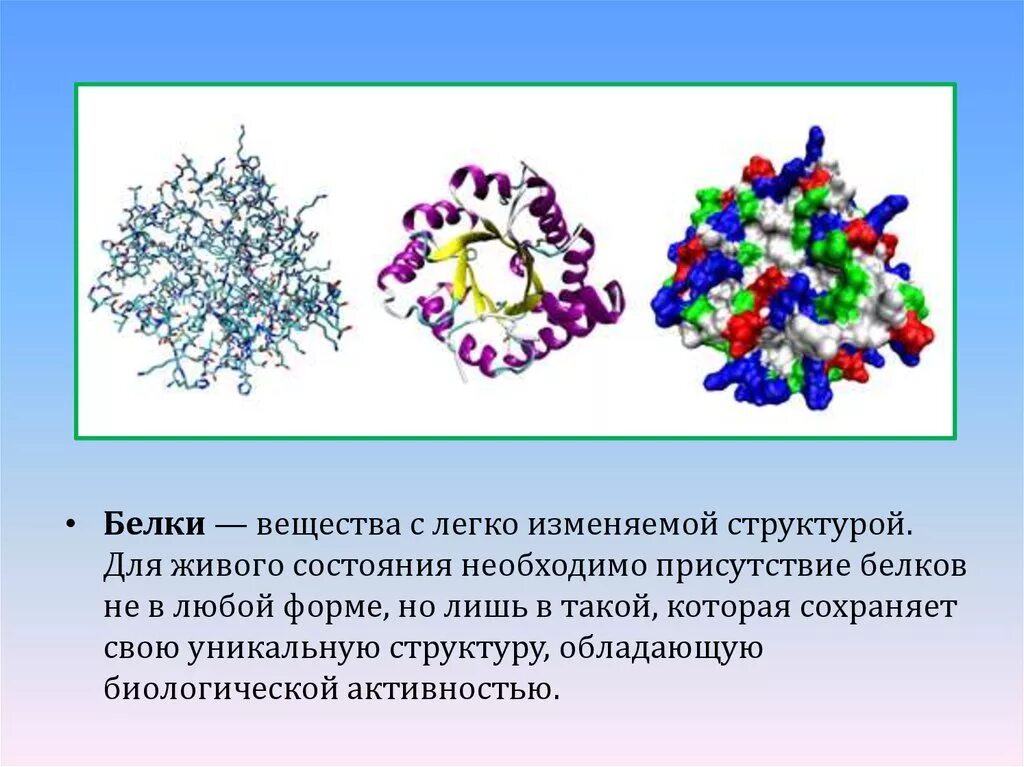 Белковые вещества. Белки соединения. Вещество белка. Белки химия.