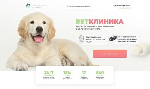 Главный экран для одностраничного сайта Ветклиники :: Behance