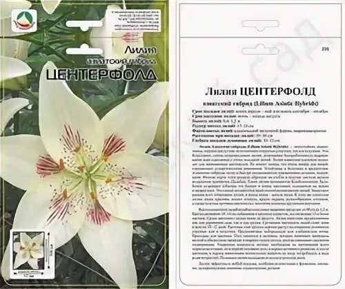 Цветы 71 * Лилия Centerfold * Совместные покупки SuperPuper