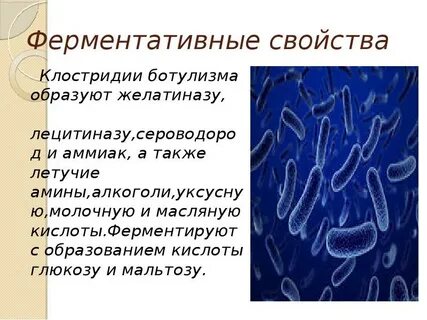 Тяжелые формы ботулизма характеризуются