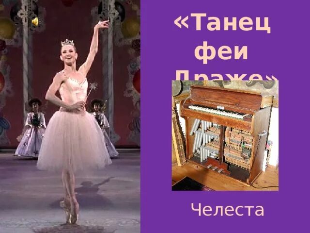 Фея драже челеста. Чайковский Щелкунчик Фея драже. Балет Чайковского Фея драже. Фея драже из балета Щелкунчик.