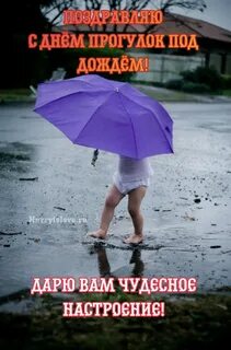 День прогулок под