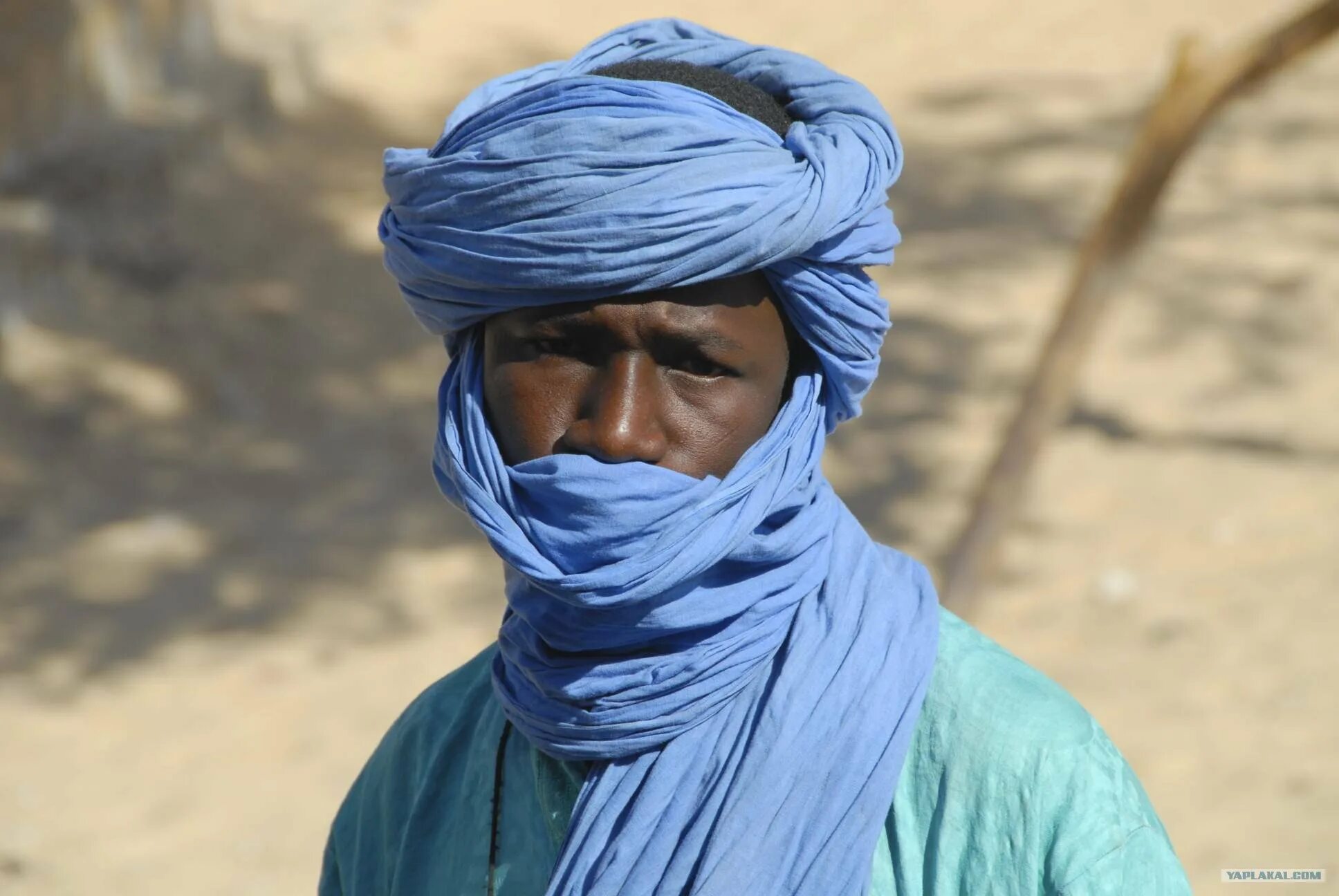 Араб северной африки. Берберы туареги бедуины. Туареги Ахаггара. Арабы берберы туареги раса. Туареги народ Африки.