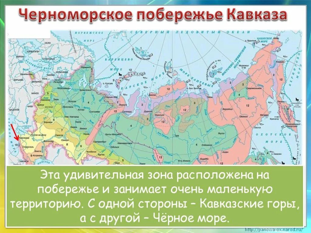 Кавказ расположен в природных зонах. Природные зоны черного моря. Черноморское побережье Кавказа это зона. Природная зона Черноморского побережья. На Черноморском побережье Кавказа расположена зона.