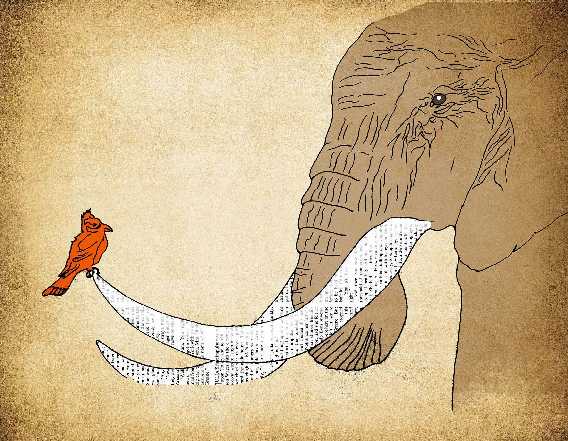 Elephant bird. Дракон и слон иллюстрация. Rikako Elephant. Dios - Darkroom иллюстрации.
