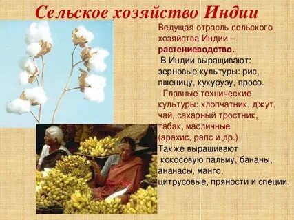 Структура хозяйства индии