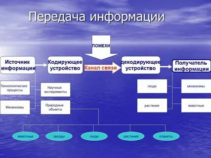 В связи с передачей в соответствии