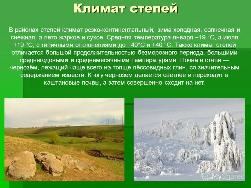 Климатические условия степной зоны. Зона степей климат. Климат степи в россии. Тип климата в степи. Климат степной зоны россии.