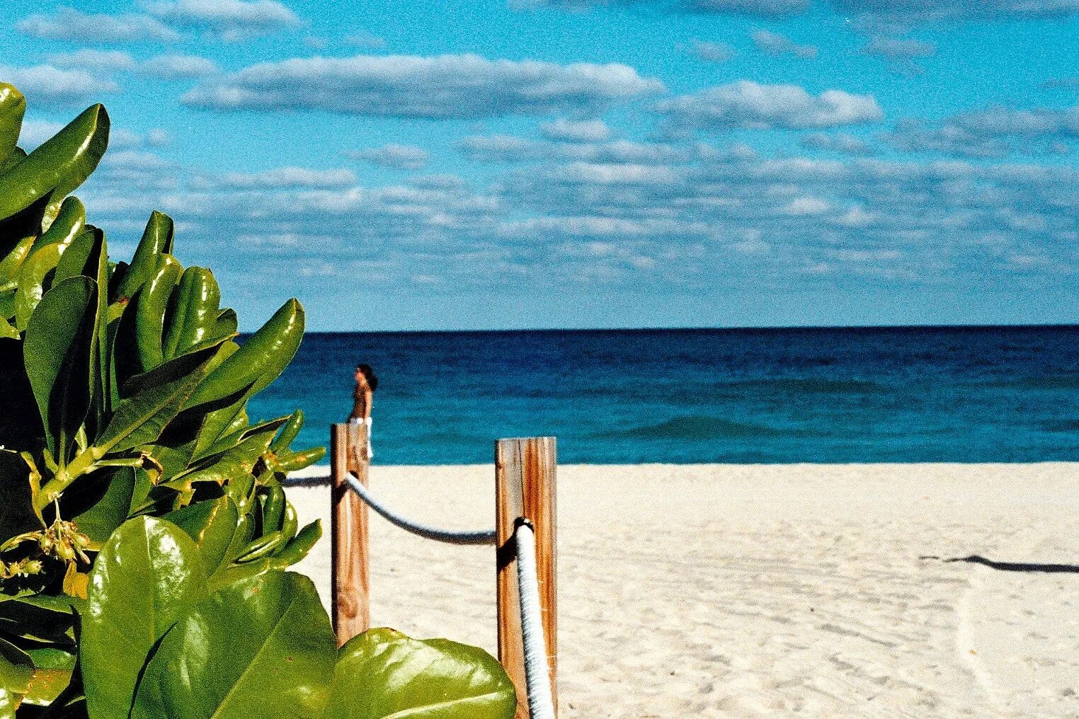 Private beach. Флорида природа. Любоваться волнами на берегу Майами. Мешки с песком с пляжей Майами.