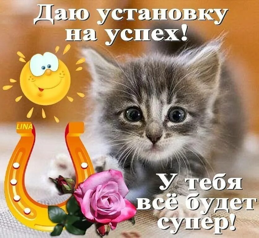 Сойти пожелать