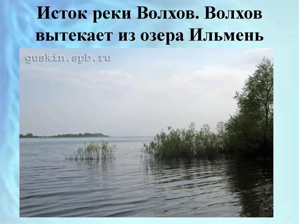 Река Волхов и озеро Ильмень. Исток озера Ильмень. Исток реки Волхов. Река Волхов впадает в озеро Ильмень. Озеро ильмень и волхов