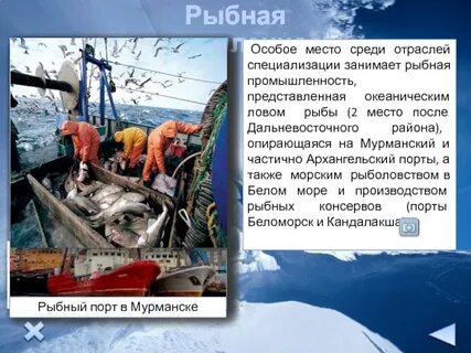 Рыбная отрасль специализации