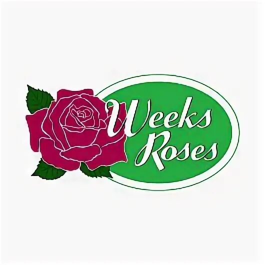 Rose weeks