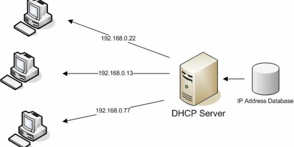DHCP: протокол динамического конфигурирования узлов. Схема сети с DHCP серверами. Назначение протокола DHCP. Протоколы TCP IP DHCP. Домен dhcp