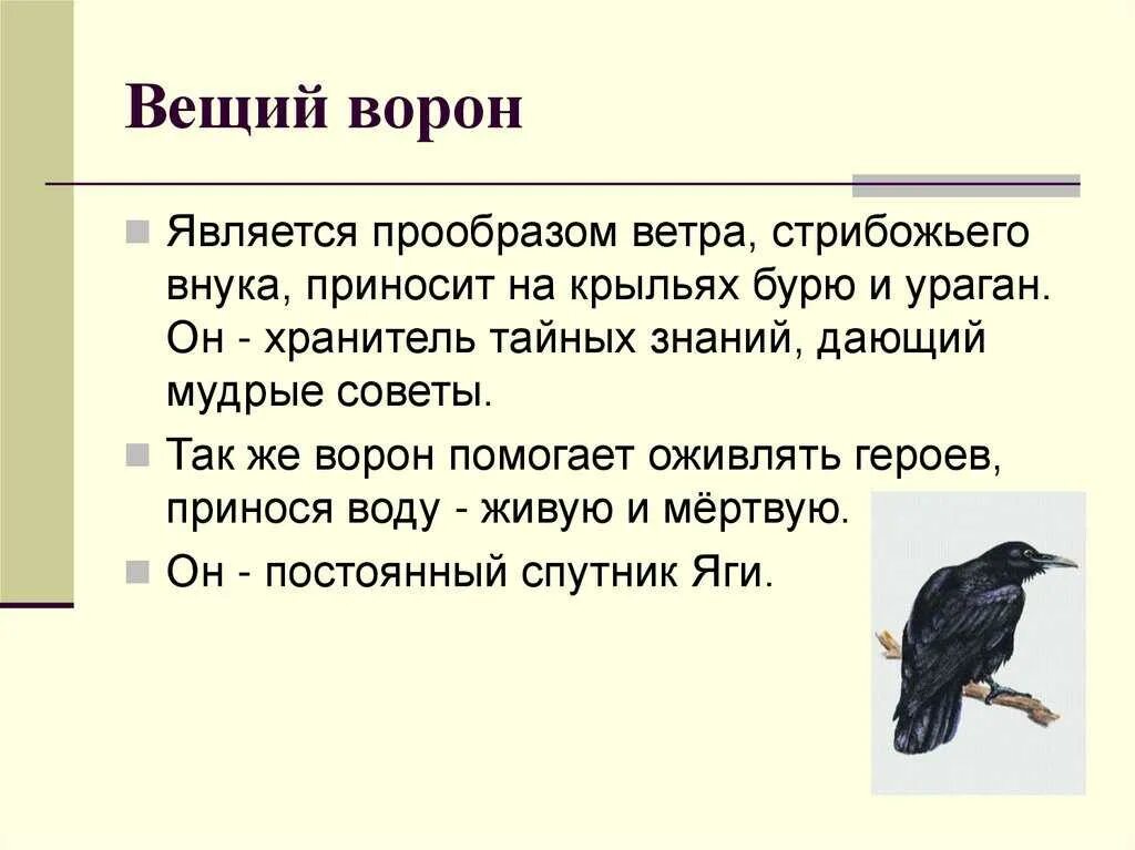 Подумай какие у ворон есть интересные повадки. Ворона краткое описание. рассказ о вороне. легенда о воронах. легенды о чёрном вороне.