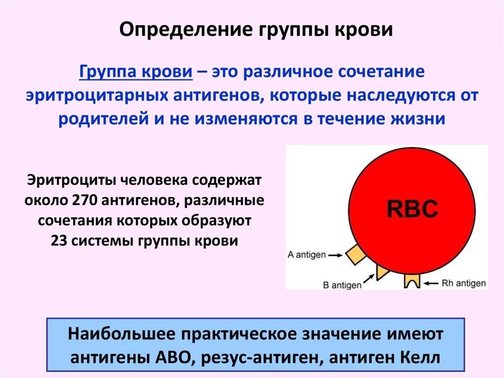 Понятие о группах крови. Понятие о группах крови и резус-факторе. Понятие о системах групп крови. Группа крови.