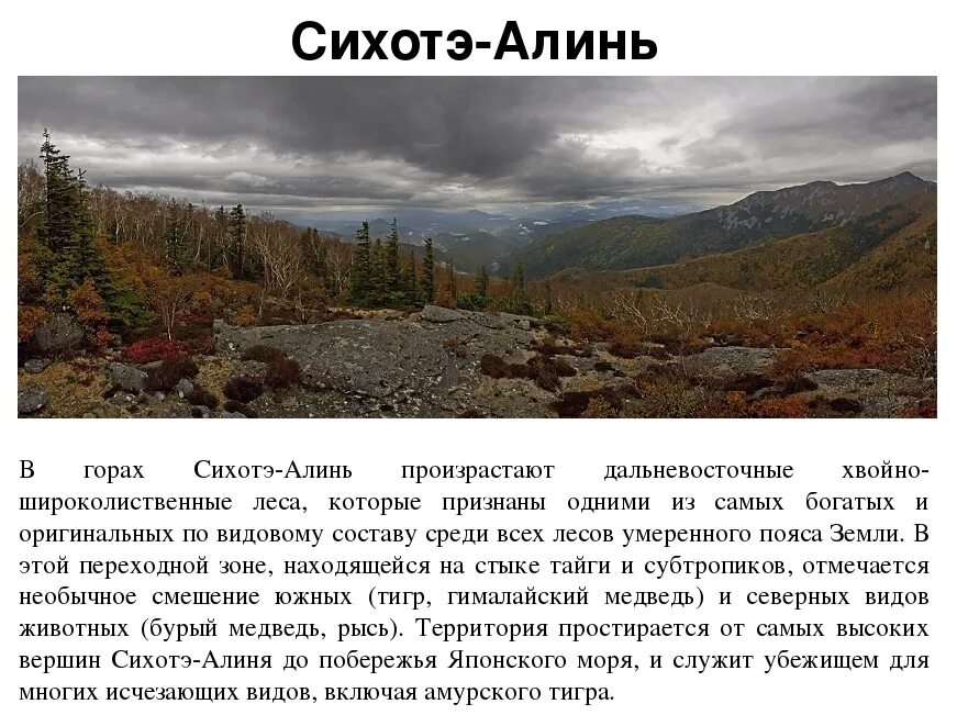 Хребет сихотэ алинь вершина. Средняя высота хребта сихотэ алинь. Преобладающие высоты горы сихотэ алинь. Сихотэ алинь форма рельефа. Горы сихотэ-алинь форма рельефа.