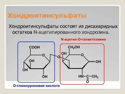 Хондроитин сульфат биологическая роль