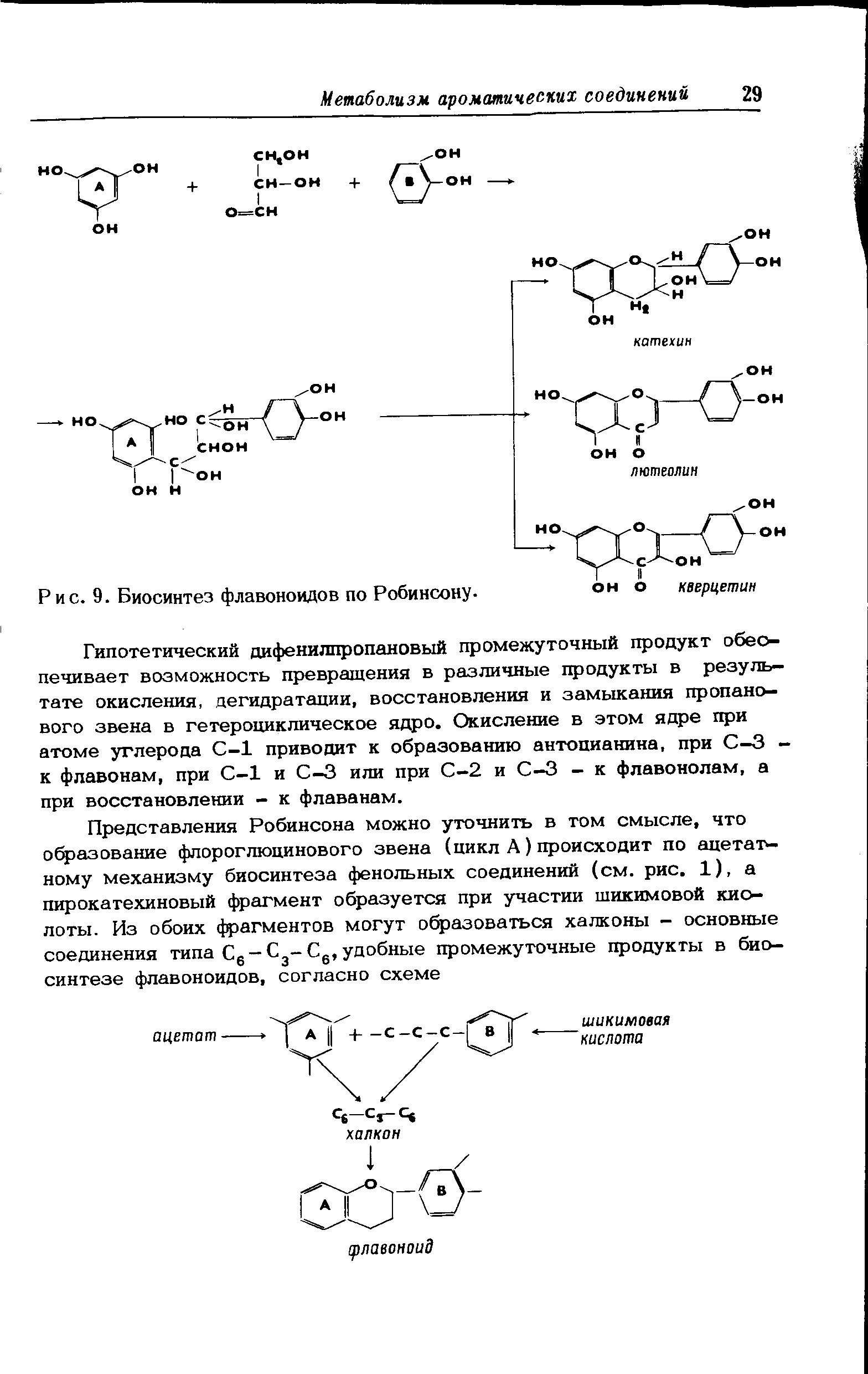Механизм биосинтеза. Шикиматный путь биосинтеза фенольных соединений. Биосинтез флавоноидов. Синтез флавоноидов. Биосинтез флавоноидов в растениях.