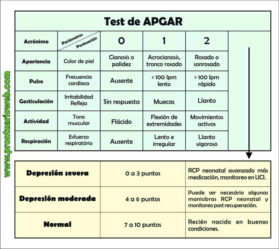 Апгар при кесарево. Шкала Апгар. Тест Апгар. Оценка по шкале Апгар. Шкала Апгар позволяет оценить:.