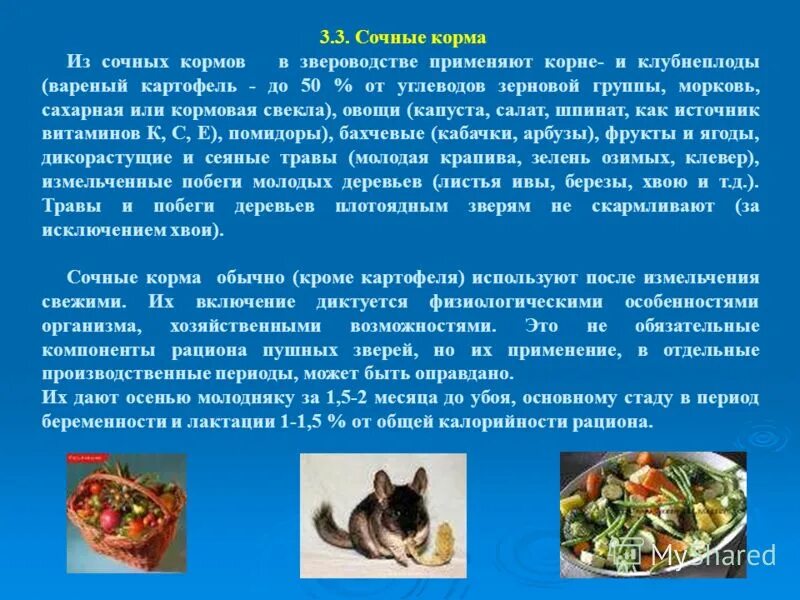 Сочный корм который получают из травы. Сочные корма. Перечислить сочные корма. Сочные корма характеристика. Культурные корма для звероводства.