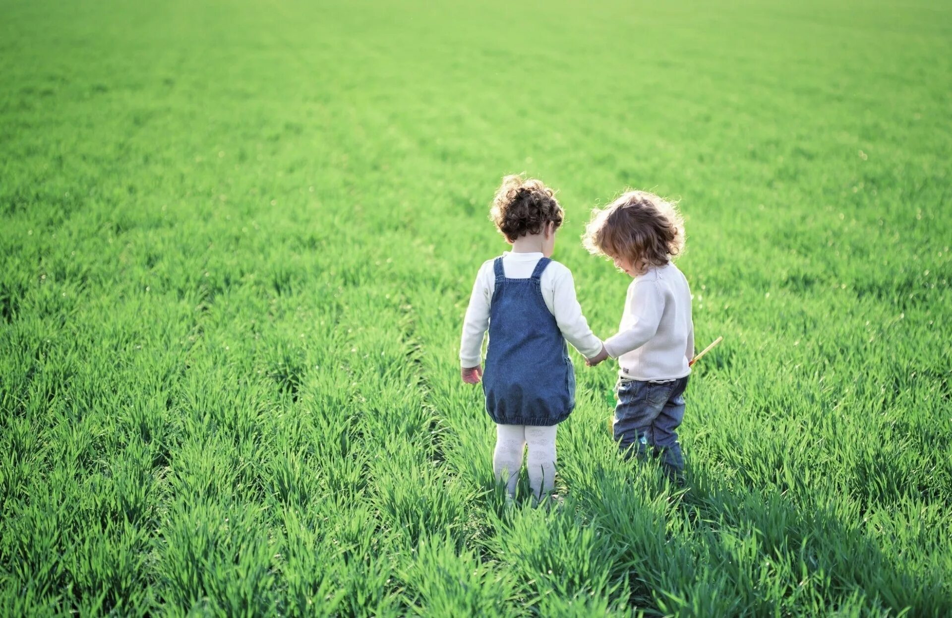 Children natural. Дети и природа. Мальчик и девочка в поле. Дети на газоне. Дети на Поляне.