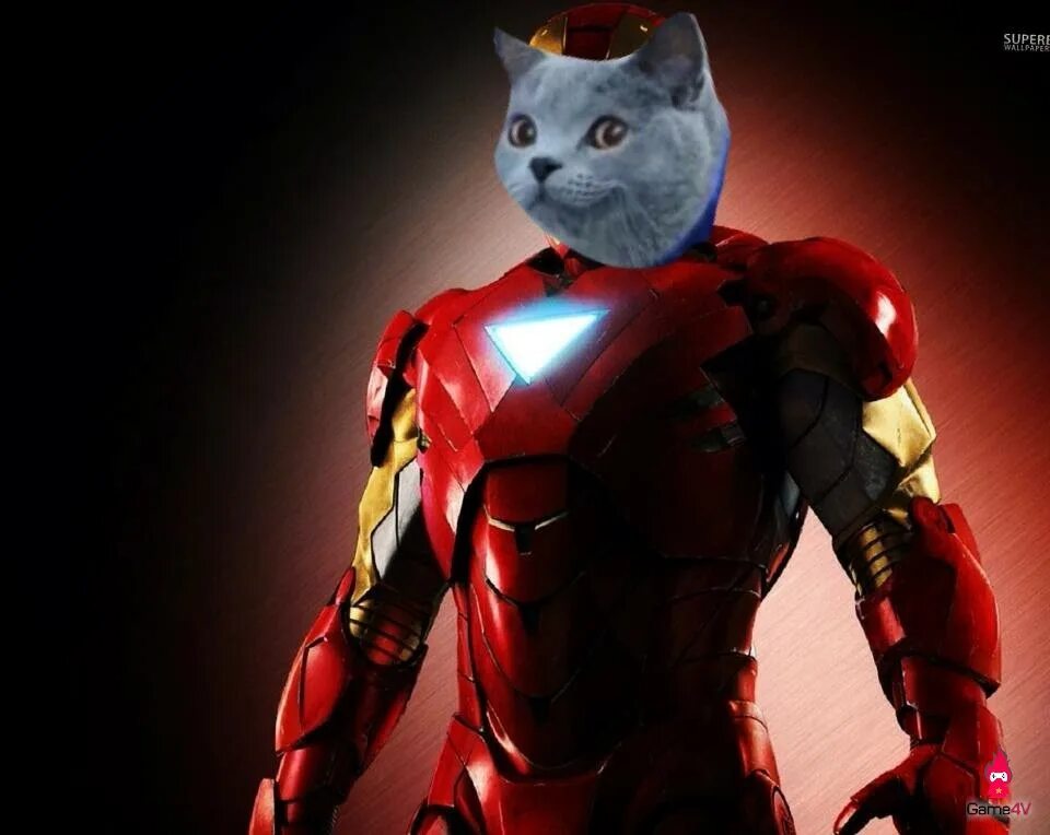 Коты Марвел. Кот Железный человек. Супергерои кошка. Железный кот Марвел.