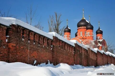 Лукино московская обл