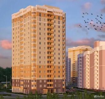 Ул новгородская 36